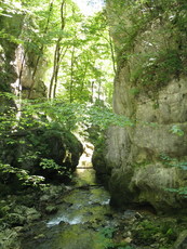 Schweiz Biel Taubenlochschlucht 001.JPG